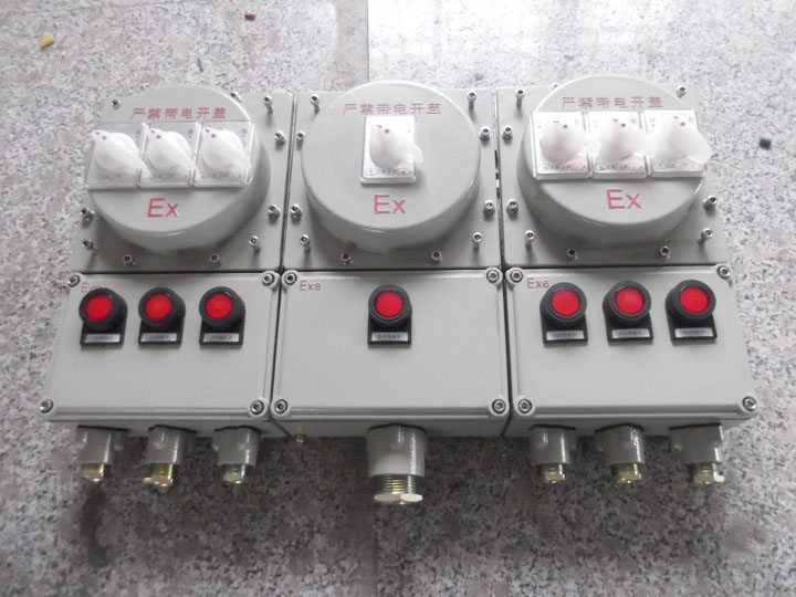 IICT4/T6防爆配電箱回路定做