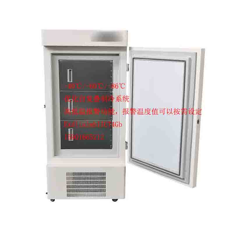 BL-DW208FL立式200升低溫40度防爆冰箱